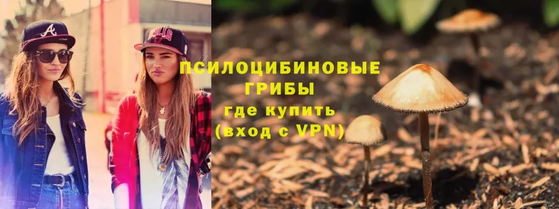 omg как зайти  Балабаново  Галлюциногенные грибы Psilocybine cubensis  закладка 